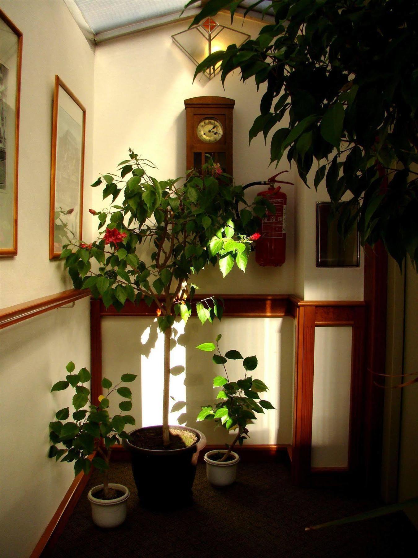 Boutique Hotel 16 Πράγα Εξωτερικό φωτογραφία